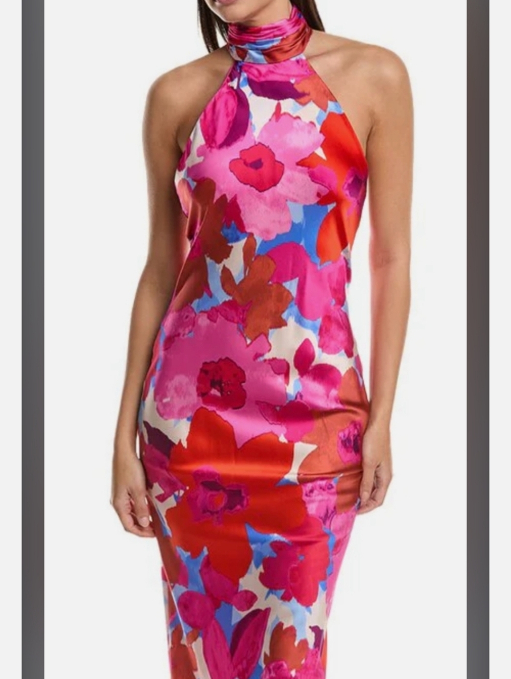 Ramy Brook Floral Tatiana Gown Halter Dress in Pink & Red Nwt Size 8